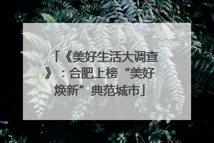 《美好生活大调查》：合肥上榜“美好焕新”典范城市