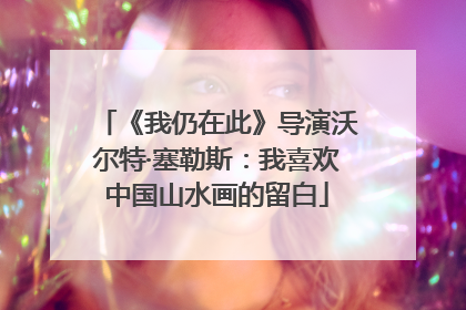 《我仍在此》导演沃尔特·塞勒斯：我喜欢中国山水画的留白