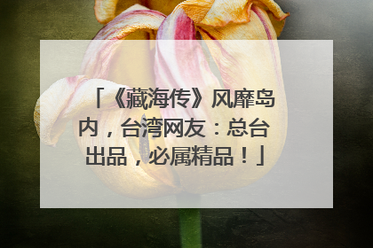 《藏海传》风靡岛内，台湾网友：总台出品，必属精品！