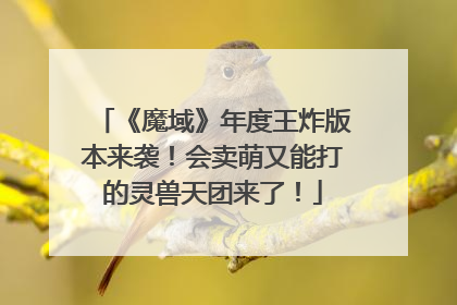 《魔域》年度王炸版本来袭！会卖萌又能打的灵兽天团来了！