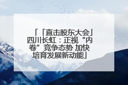 「直击股东大会」四川长虹：正视“内卷”竞争态势 加快培育发展新动能