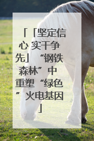 「坚定信心 实干争先」“钢铁森林”中 重塑“绿色”火电基因