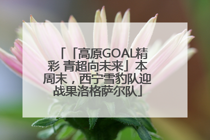 「高原GOAL精彩 青超向未来」本周末，西宁雪豹队迎战果洛格萨尔队