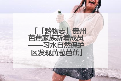 「黔物志」贵州芭蕉家族新增成员——习水自然保护区发现黄苞芭蕉