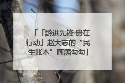 「黔进先锋·贵在行动」赵大志的“民生账本”画满勾勾