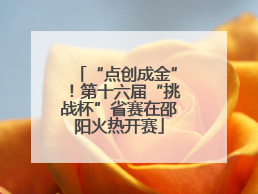 “点创成金”！第十六届“挑战杯”省赛在邵阳火热开赛