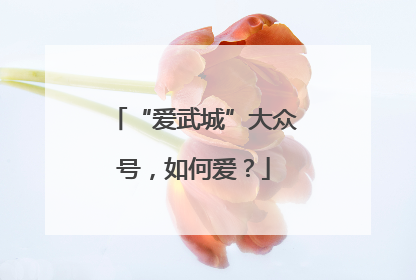 “爱武城”大众号，如何爱？