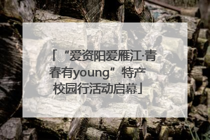 “爱资阳爱雁江·青春有young”特产校园行活动启幕