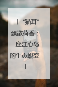 “猫耳”飘散荷香：一座江心岛的生态蜕变