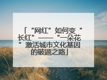 “网红”如何变“长红”——“一朵花”激活城市文化基因的破题之路