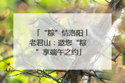 “粽”情洛阳丨老君山：邀您“粽”享端午之约