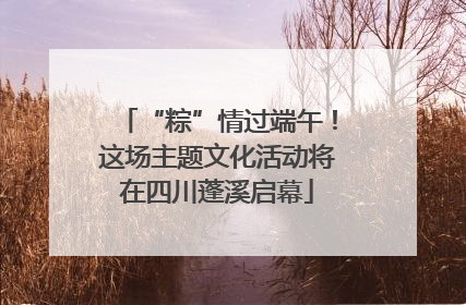 “粽”情过端午！这场主题文化活动将在四川蓬溪启幕