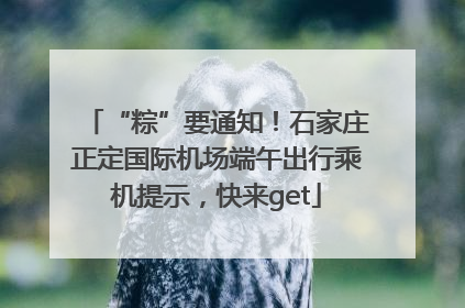 “粽”要通知！石家庄正定国际机场端午出行乘机提示，快来get