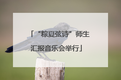 “粽夏弦诗”师生汇报音乐会举行
