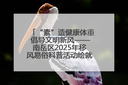 “素”造健康体重 倡导文明新风——南岳区2025年移风易俗科普活动绘就健康生活新图景