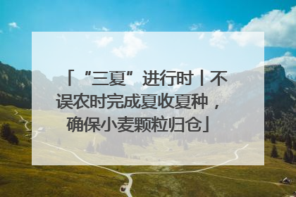 “三夏”进行时丨不误农时完成夏收夏种，确保小麦颗粒归仓