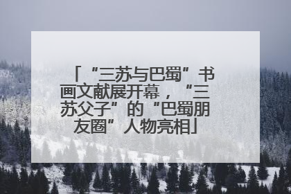 “三苏与巴蜀”书画文献展开幕，“三苏父子”的“巴蜀朋友圈”人物亮相
