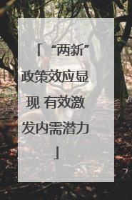 “两新”政策效应显现 有效激发内需潜力