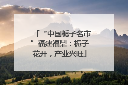 “中国栀子名市”福建福鼎：栀子花开，产业兴旺