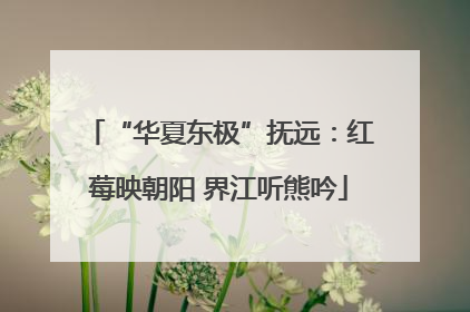 “华夏东极”抚远：红莓映朝阳 界江听熊吟
