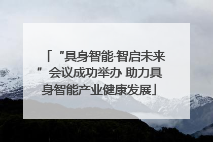 “具身智能·智启未来”会议成功举办 助力具身智能产业健康发展