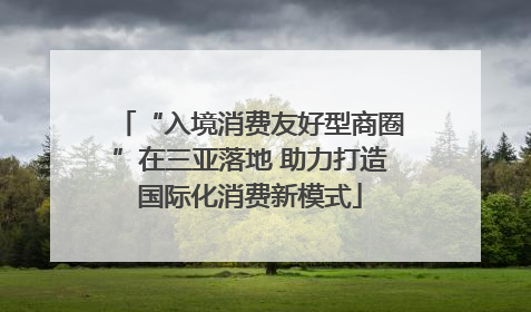 “入境消费友好型商圈”在三亚落地 助力打造国际化消费新模式