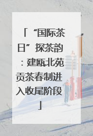 “国际茶日”探茶韵：建瓯北苑贡茶春制进入收尾阶段