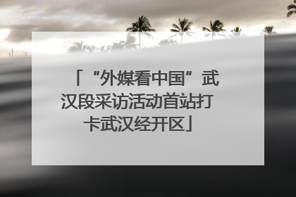 “外媒看中国”武汉段采访活动首站打卡武汉经开区