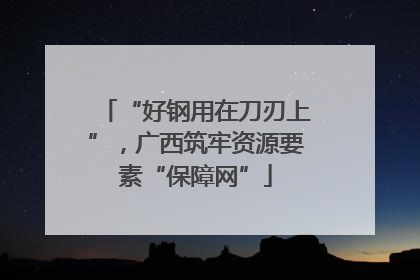“好钢用在刀刃上”，广西筑牢资源要素“保障网”