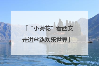 “小葵花”看西安走进丝路欢乐世界