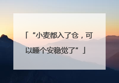 “小麦都入了仓，可以睡个安稳觉了”
