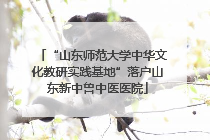 “山东师范大学中华文化教研实践基地”落户山东新中鲁中医医院