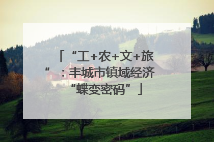 “工+农+文+旅”：丰城市镇域经济“蝶变密码”
