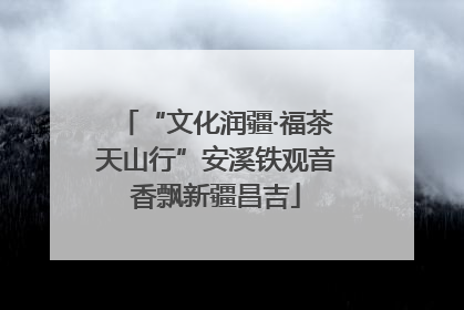 “文化润疆·福茶天山行”安溪铁观音香飘新疆昌吉