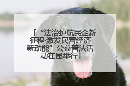 “法治护航民企新征程·激发民营经济新动能”公益普法活动在昆举行
