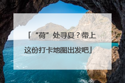 “荷”处寻夏？带上这份打卡地图出发吧