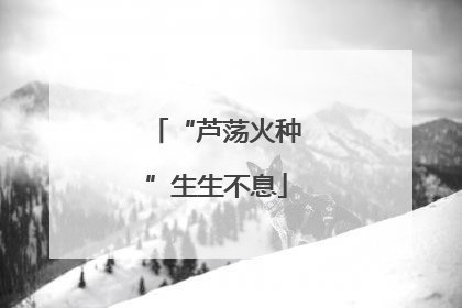 “芦荡火种”生生不息