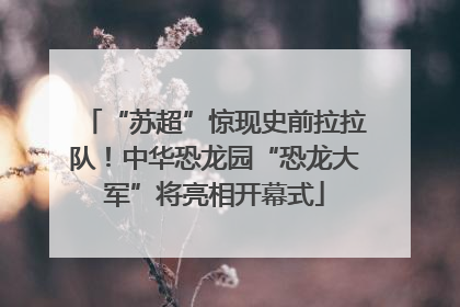 “苏超”惊现史前拉拉队！中华恐龙园“恐龙大军”将亮相开幕式
