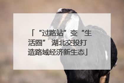 “过路站”变“生活圈” 湖北交投打造路域经济新生态