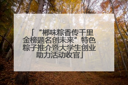 “郴味粽香传千里 金榜题名创未来”特色粽子推介暨大学生创业助力活动收官