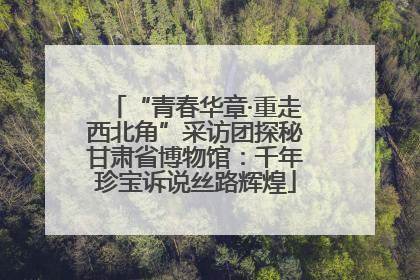 “青春华章·重走西北角”采访团探秘甘肃省博物馆：千年珍宝诉说丝路辉煌