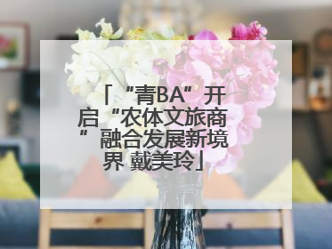 “青BA”开启“农体文旅商”融合发展新境界 戴美玲