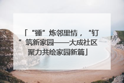 “锤”炼邻里情，“钉”筑新家园——大成社区聚力共绘家园新篇