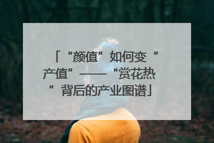 “颜值”如何变“产值”——“赏花热”背后的产业图谱