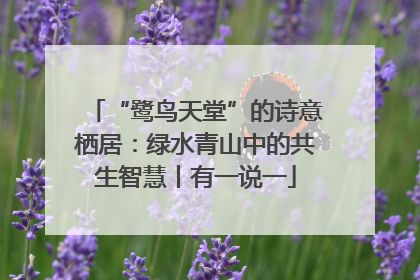 “鹭鸟天堂”的诗意栖居：绿水青山中的共生智慧丨有一说一
