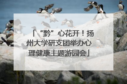 “黔”心花开！扬州大学研支团举办心理健康主题游园会