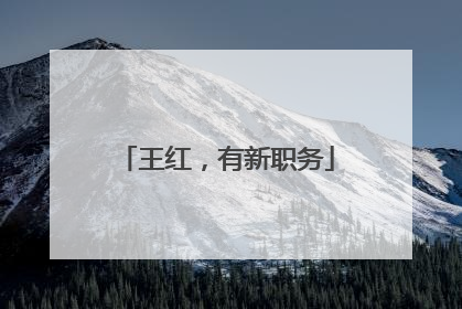 王红，有新职务
