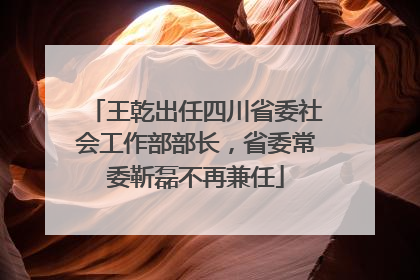 王乾出任四川省委社会工作部部长，省委常委靳磊不再兼任