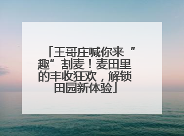 王哥庄喊你来“趣”割麦！麦田里的丰收狂欢，解锁田园新体验