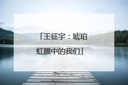 王征宇：琥珀虹膜中的我们